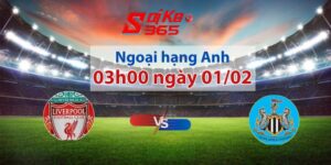 Liverpool vs Newcastle