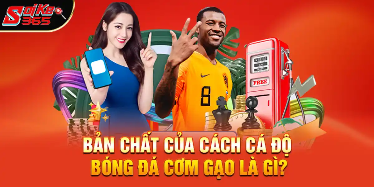 Bản chất của cách cá độ bóng đá cơm gạo là gì?