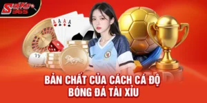 Cách cá độ bóng đá tài xỉu – Nền tảng cho người muốn hiểu kèo tổng bàn thắng
