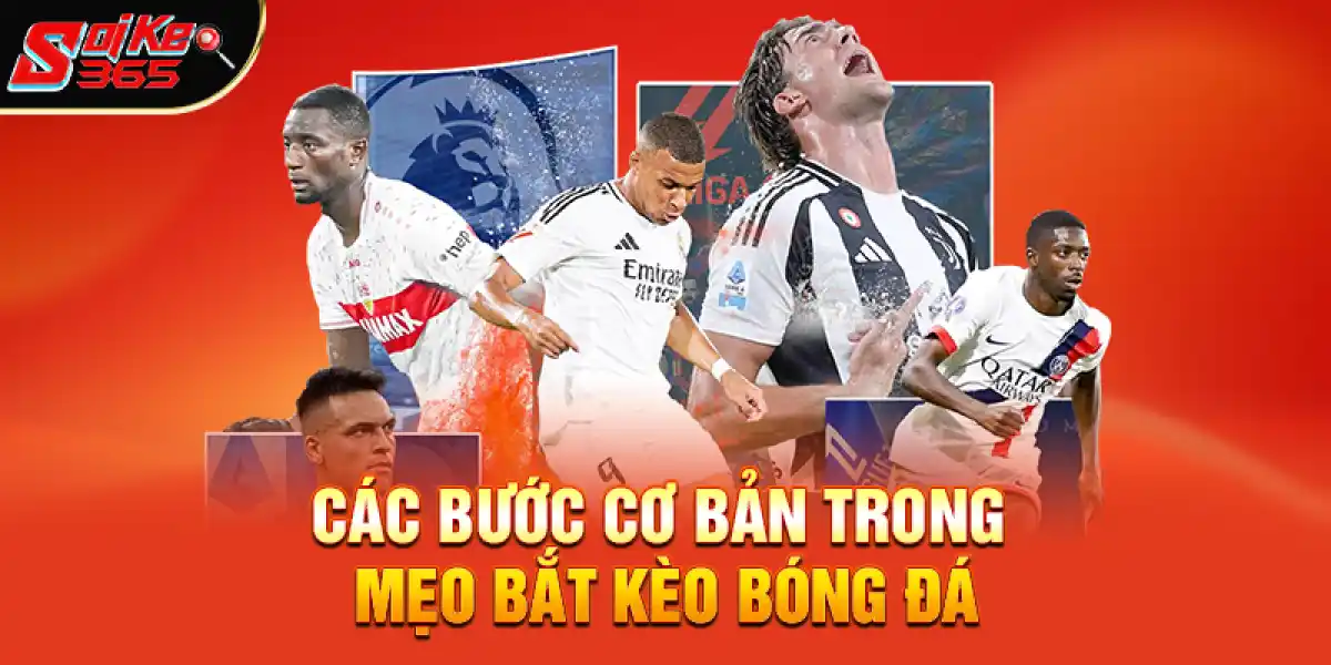 Các bước cơ bản trong mẹo bắt kèo bóng đá nên nắm vững