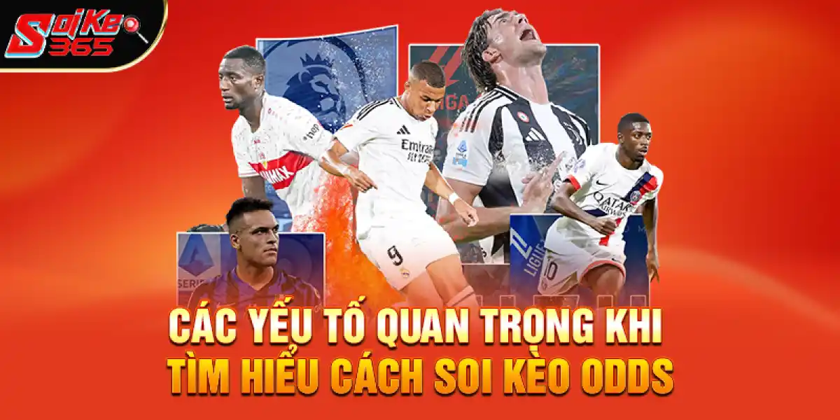 Các Yếu Tố Quan Trọng Khi Tìm Hiểu Cách Soi Kèo Odds