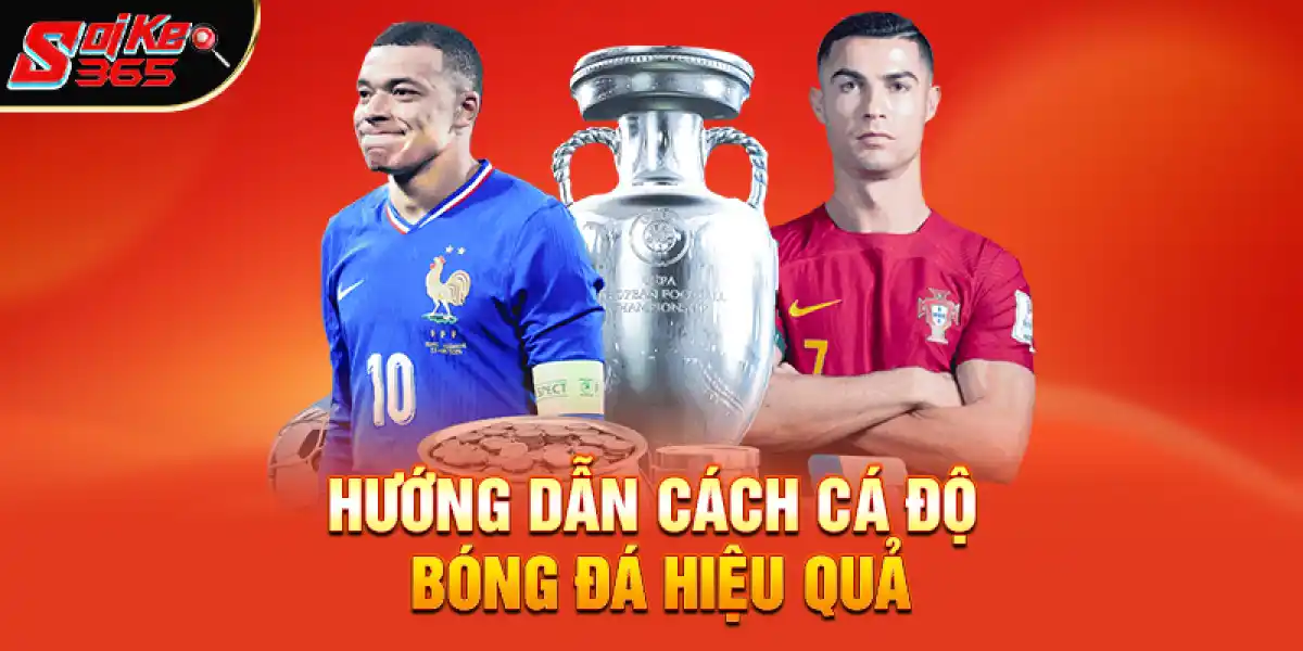 Hướng Dẫn Cách Cá Độ Bóng Đá Hiệu Quả