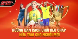 Kèo chấp nửa trái nghĩa là gì – Hướng dẫn rõ chi tiết cách chơi và tính tiền thưởng