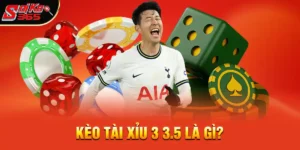 Khám Phá Kèo Tài Xỉu 3 3.5 Là Gì Và Cách Chơi Hiệu Quả