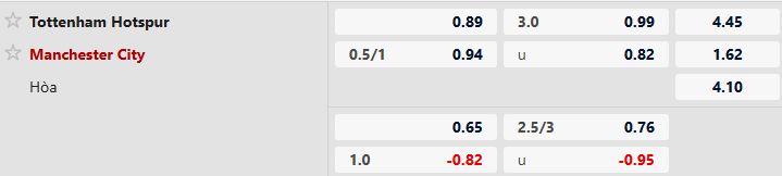 Tottenham vs Man City