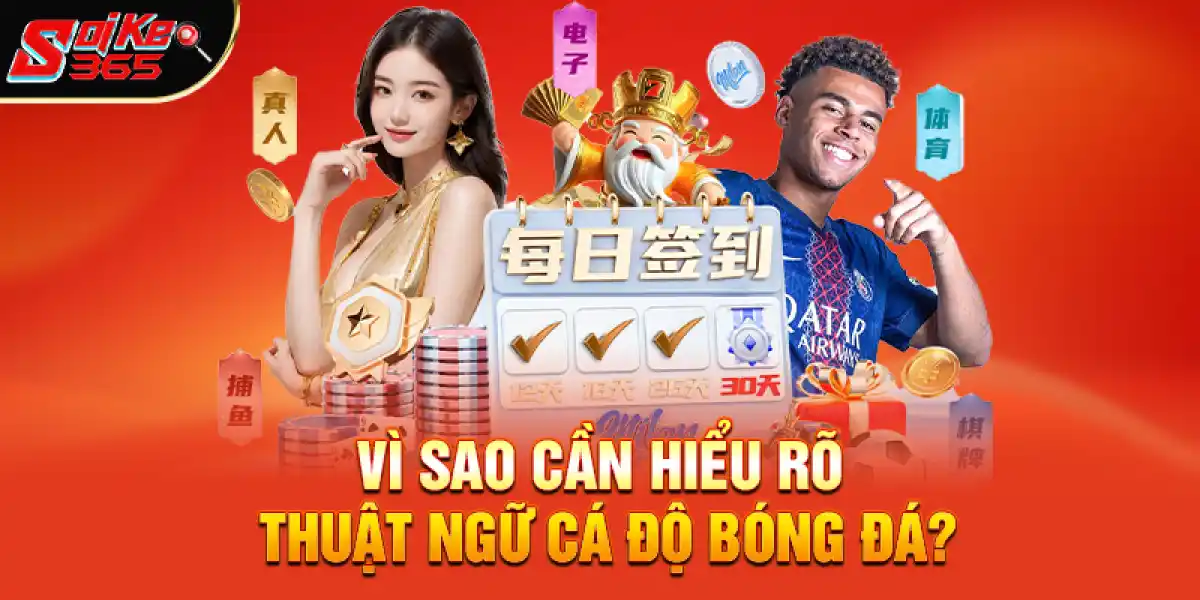 Vì sao cần hiểu rõ thuật ngữ cá độ bóng đá?