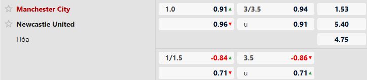Man City vs Newcastle