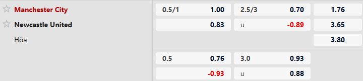 Man City vs Newcastle