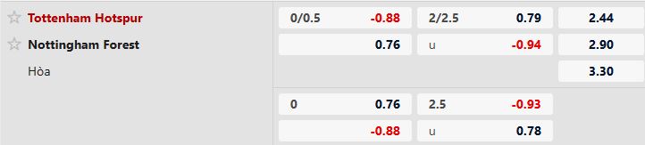 Tottenham vs Nottingham