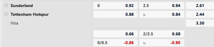Sunderland vs Tottenham
